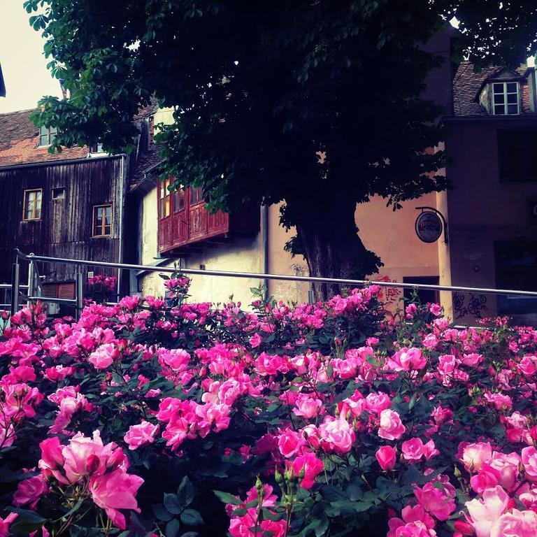 Apartment History Zagreb Luaran gambar
